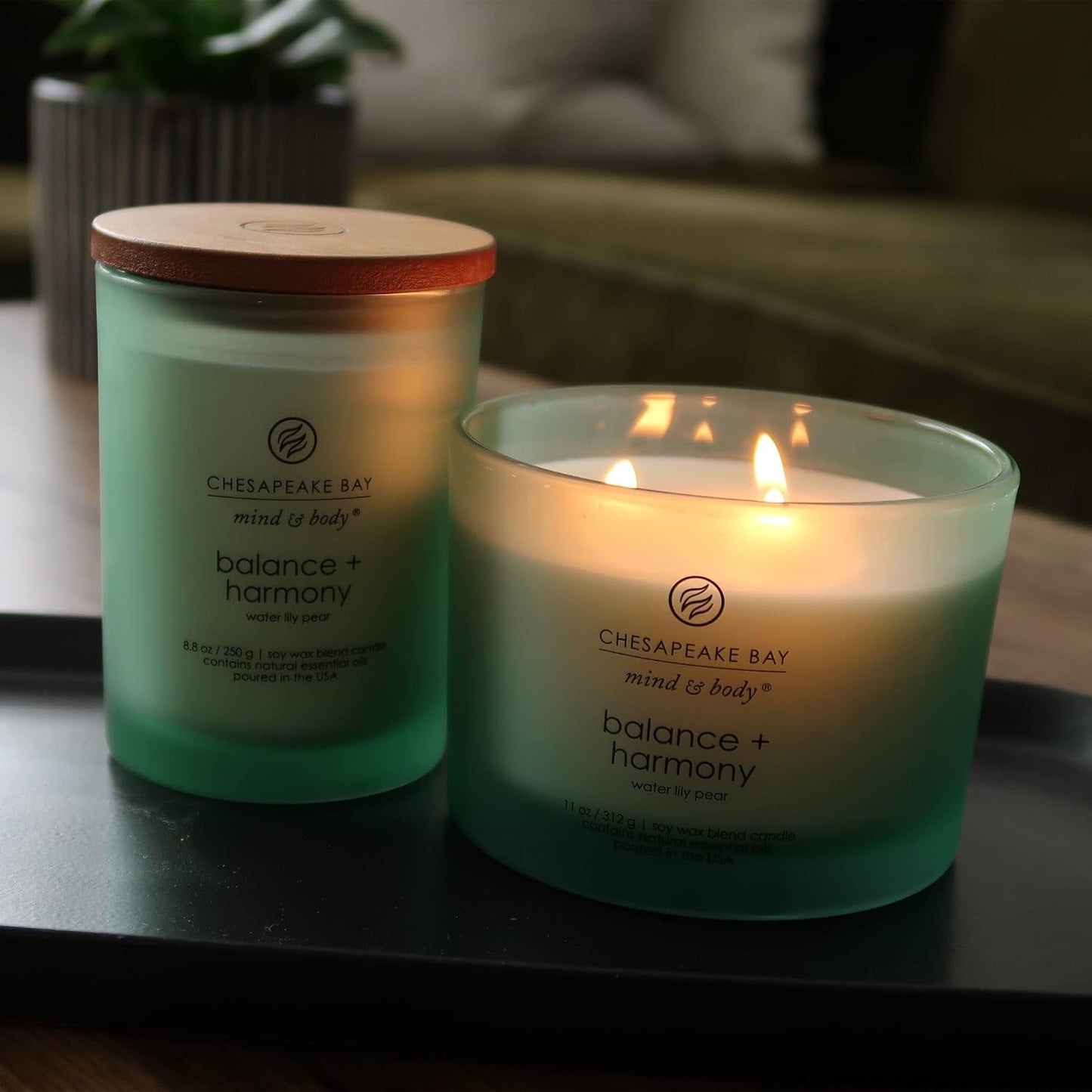 Chesapeake Bay Candle Scented Candle Serenity + Calm (Lavender Thyme) Coffee Table Home Décor
