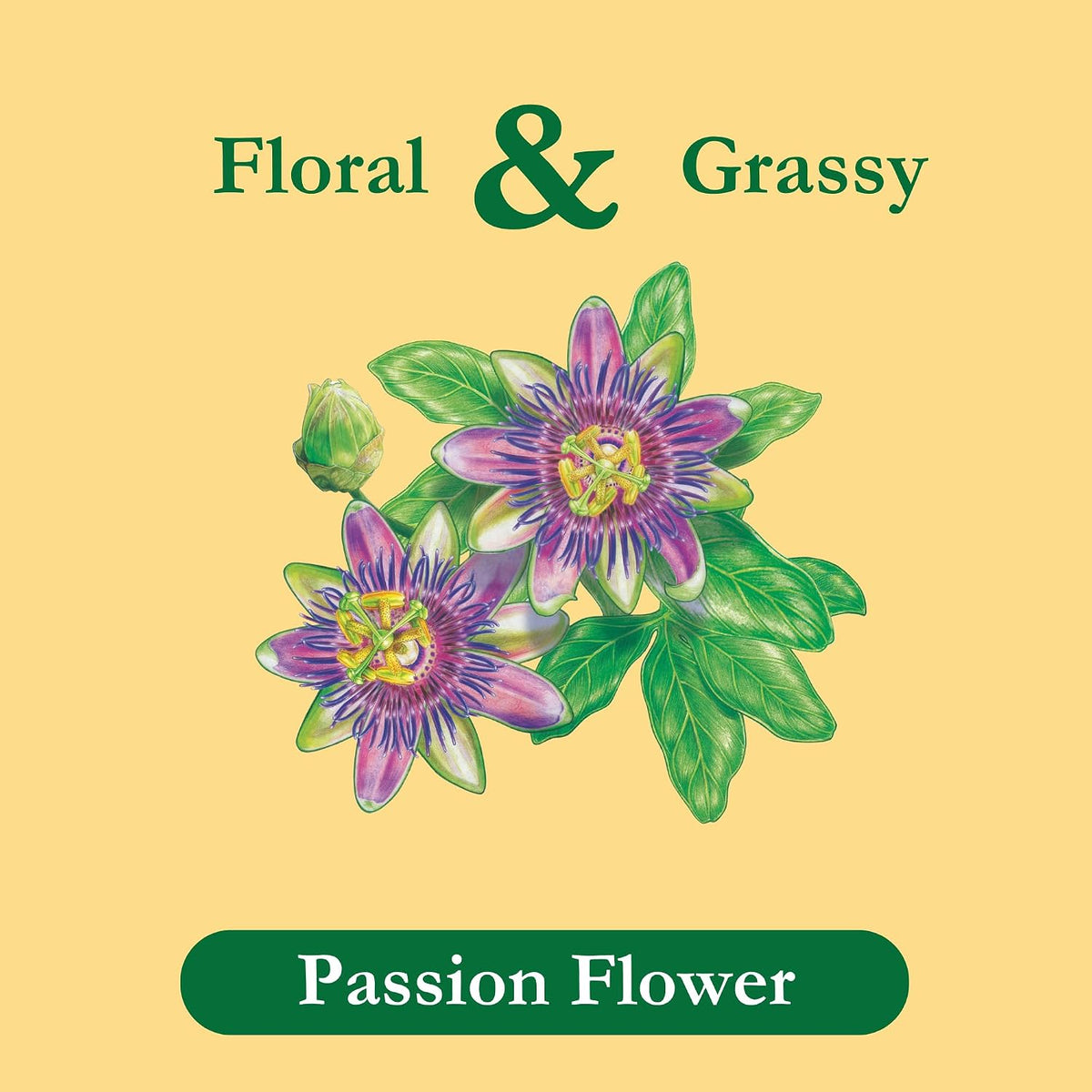 Tadin Passion Flower Herbal Tea, Caffeine Free, 24 Tea Bags Per Box, Pack of 6 Boxes Total