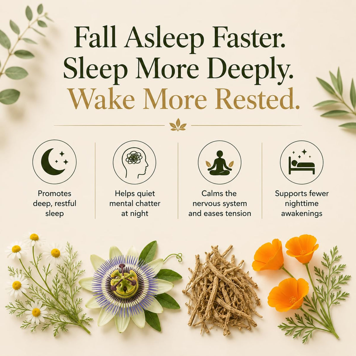 SLEEPING TEA – Knock-Out Blend with Valerian Root plus California Poppy and Hops for Deep Relaxation – Premium Organic Tea by Master Herbalist Khabir – Non-GMO, No Additives