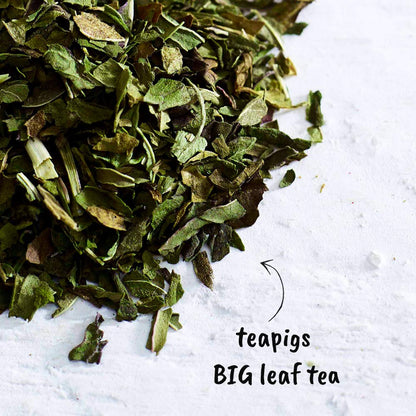 Teapigs Peppermint Leaves Tea Bags Made With Whole Tea Leaves, Natural Ingredients, Non-GMO, Caffeine-Free – 50 Count (1 Pack of 50 Teabags)