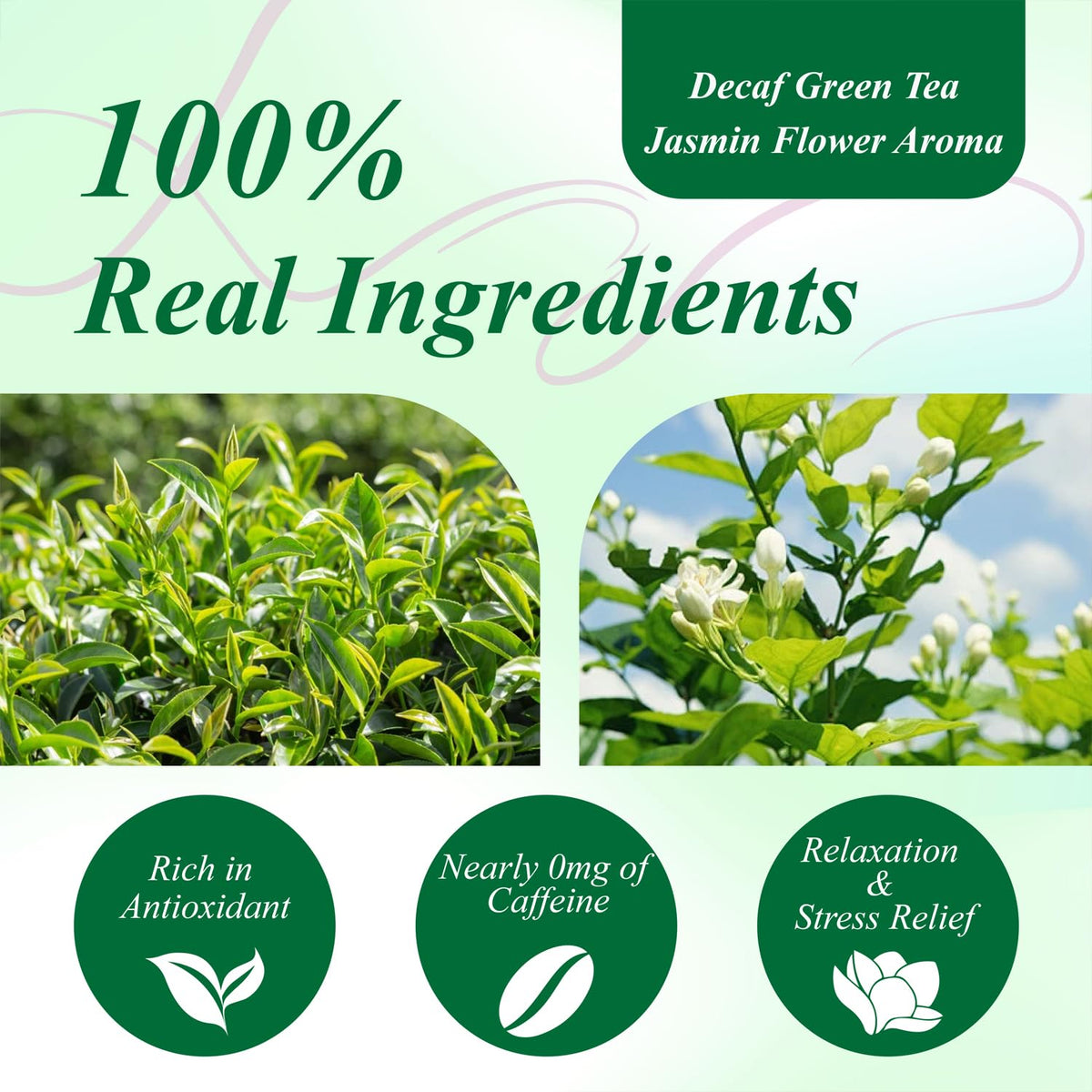 WT WEETEE Decaf Jasmine Green Tea Bags 100 Count, Natural CO2 Decaffeinated