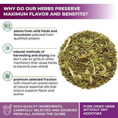 4 oz. Milk Thistle Herb Dried Milk Thistle Herbal Tea (Silybum Marianum) - 113g Herb Tea Cardo Mariano