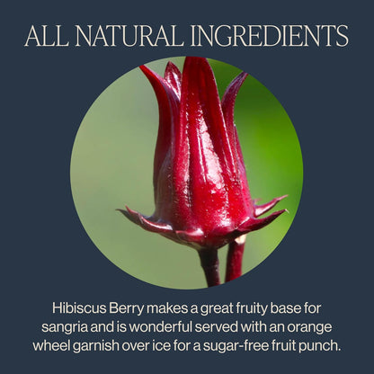 Rishi Tea Hibiscus Berry Organic Herbal Loose Leaf Tea, Caffeine Free, 4oz
