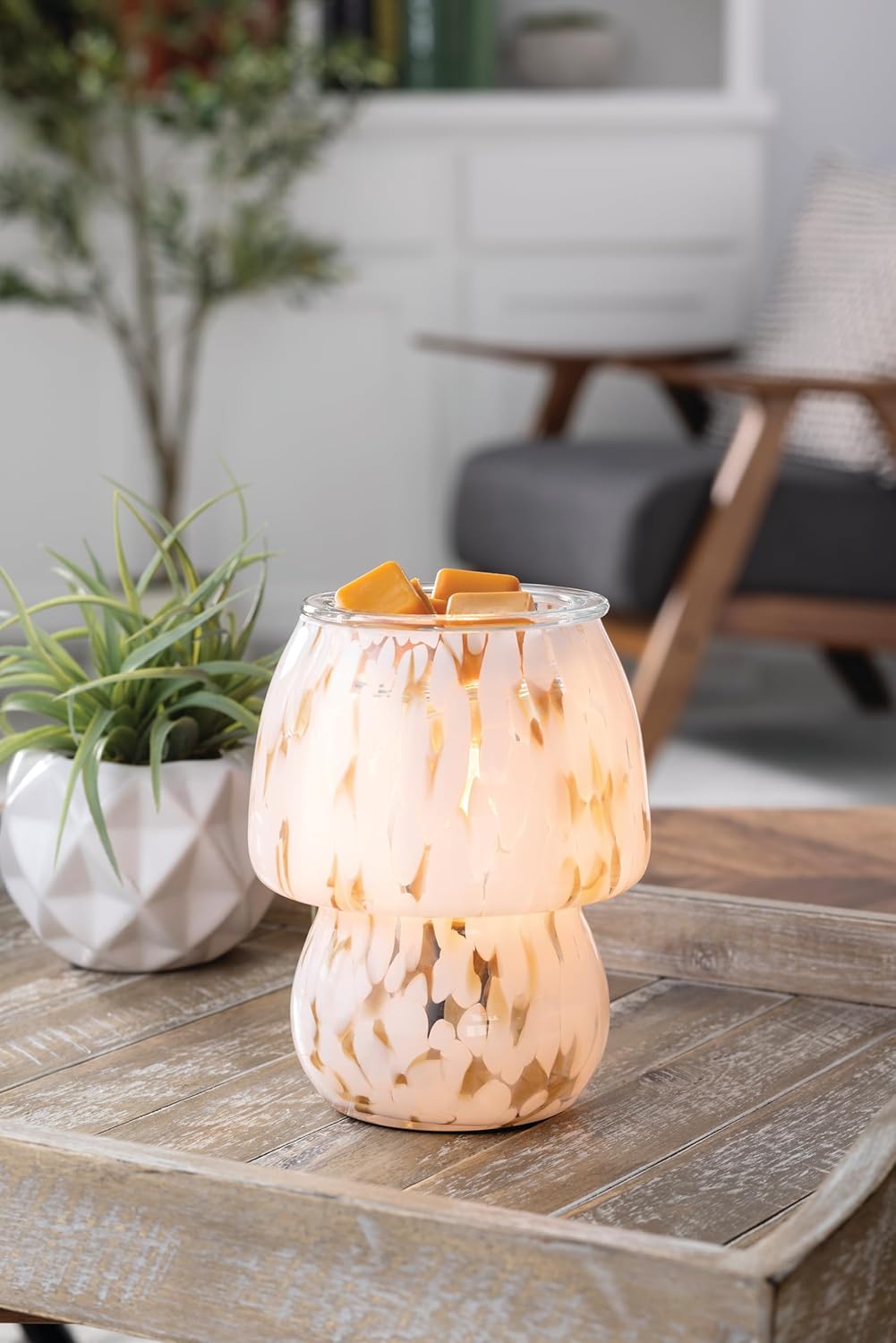 Candle Warmers ETC. Vintage Bulb Illumination Fragrance Warmer- Light-Up Warmer for Warming Scented Candle Wax Melts and Tarts to Freshen Room, Apothecary