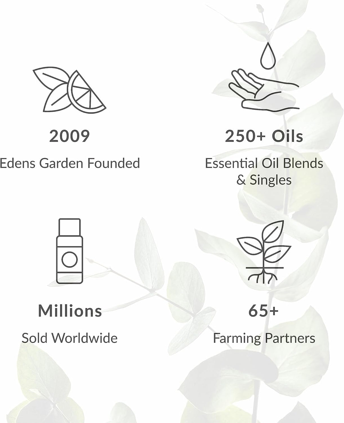 Edens Garden Top Essential Oil Blends Sampler 18 Set – 100% Pure Therapeutic Grade, Natural, Undiluted Aromatherapy Scents for Diffusers & Humidifiers – Wellness Gift for Men & Women, .92 ml/ 18 Pack