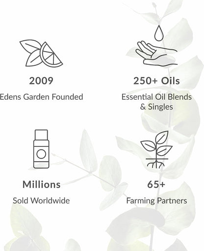 Edens Garden Top Essential Oil Blends Sampler 18 Set – 100% Pure Therapeutic Grade, Natural, Undiluted Aromatherapy Scents for Diffusers & Humidifiers – Wellness Gift for Men & Women, .92 ml/ 18 Pack