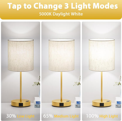 Blue Touch Lamps for Nightstand Set of 2 - Bedside Table Lamp for Bedroom with Dual USB Ports & AC Outlet, 3-Way Dimmable Lamps for Living Room Boys Room, Night Light with 5000K Daylight Bulbs