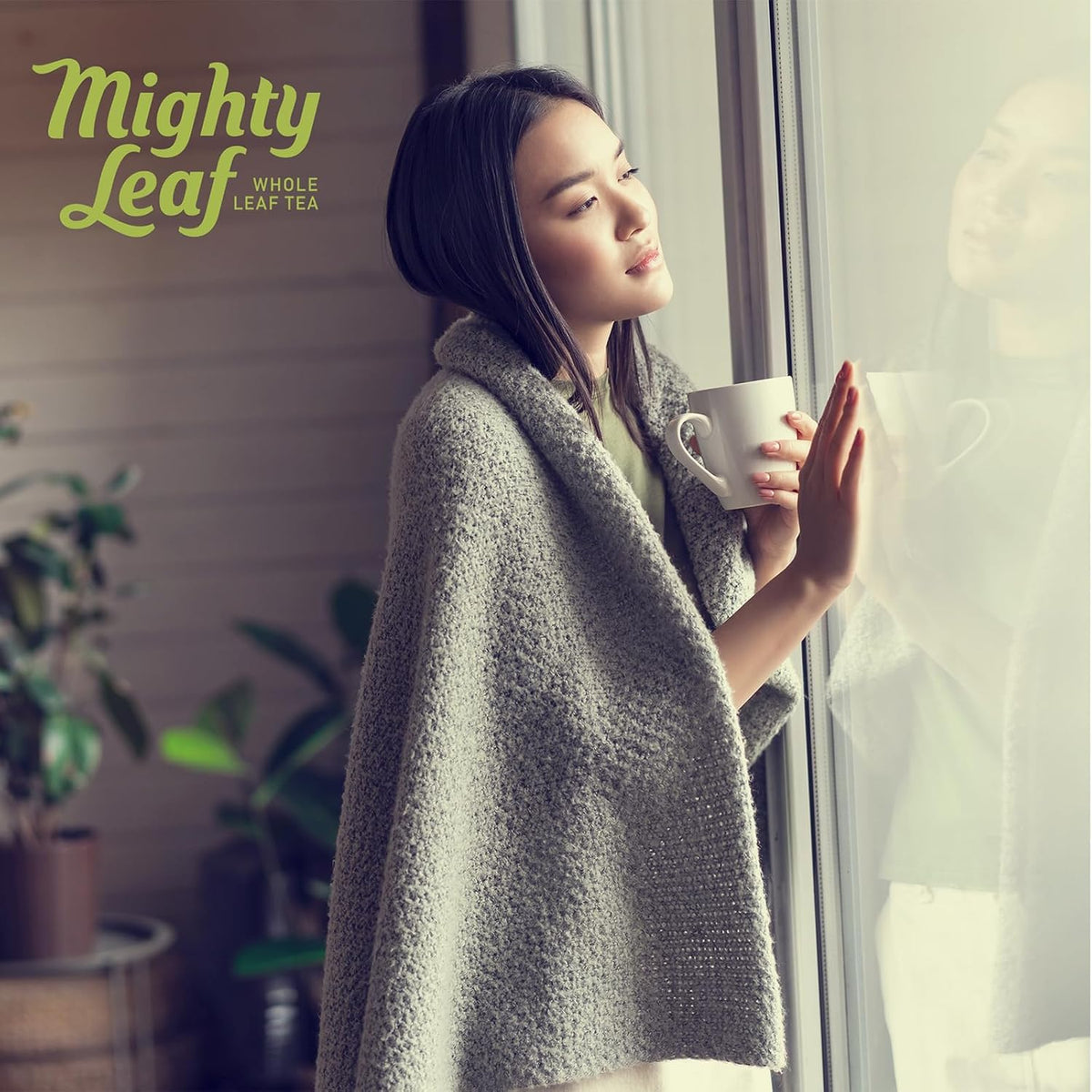 Mighty Leaf Organic Green Dragon Tea – 100 Count Whole Leaf Green Tea Bags – Smooth & Earthy Flavor – Premium Silk Pouches for Wellness and Natural Energy