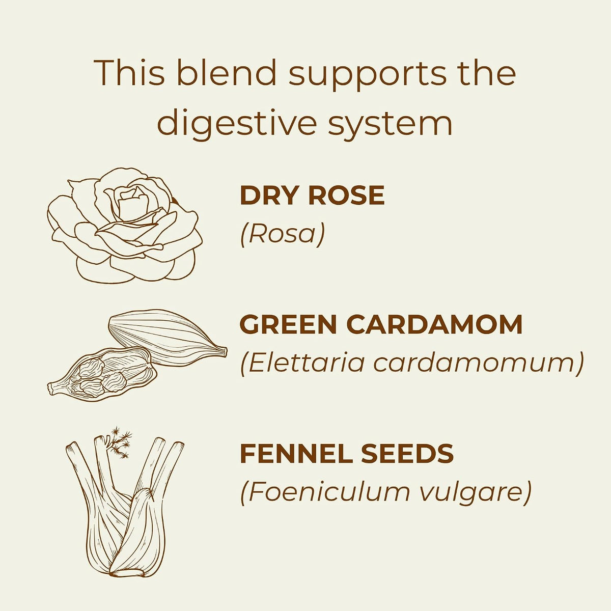 Kappah Organic Fennel Tea Bags and Powder Sachets - Supports Digestion and Reduces Bloating - Caffeine Free Stomach Ease Herbal Tea - Real Ground Herbs - No Fillers