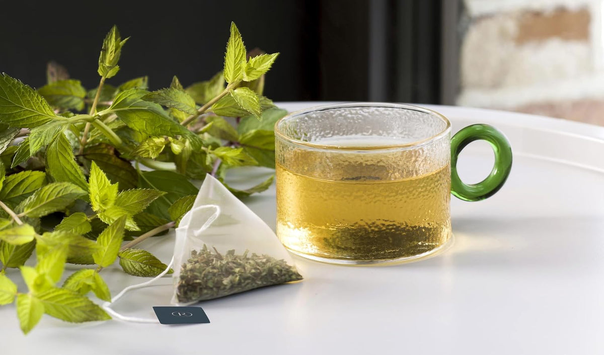 REVOLUTION TEA® Southern Mint [THE ORIGINAL] – Oregon Spearmint & Peppermint – Premium Full Leaf Tea – Biodegradable Infuser Tea Bags – Herbal Tea – Naturally Caffeine Free – 20 Bags
