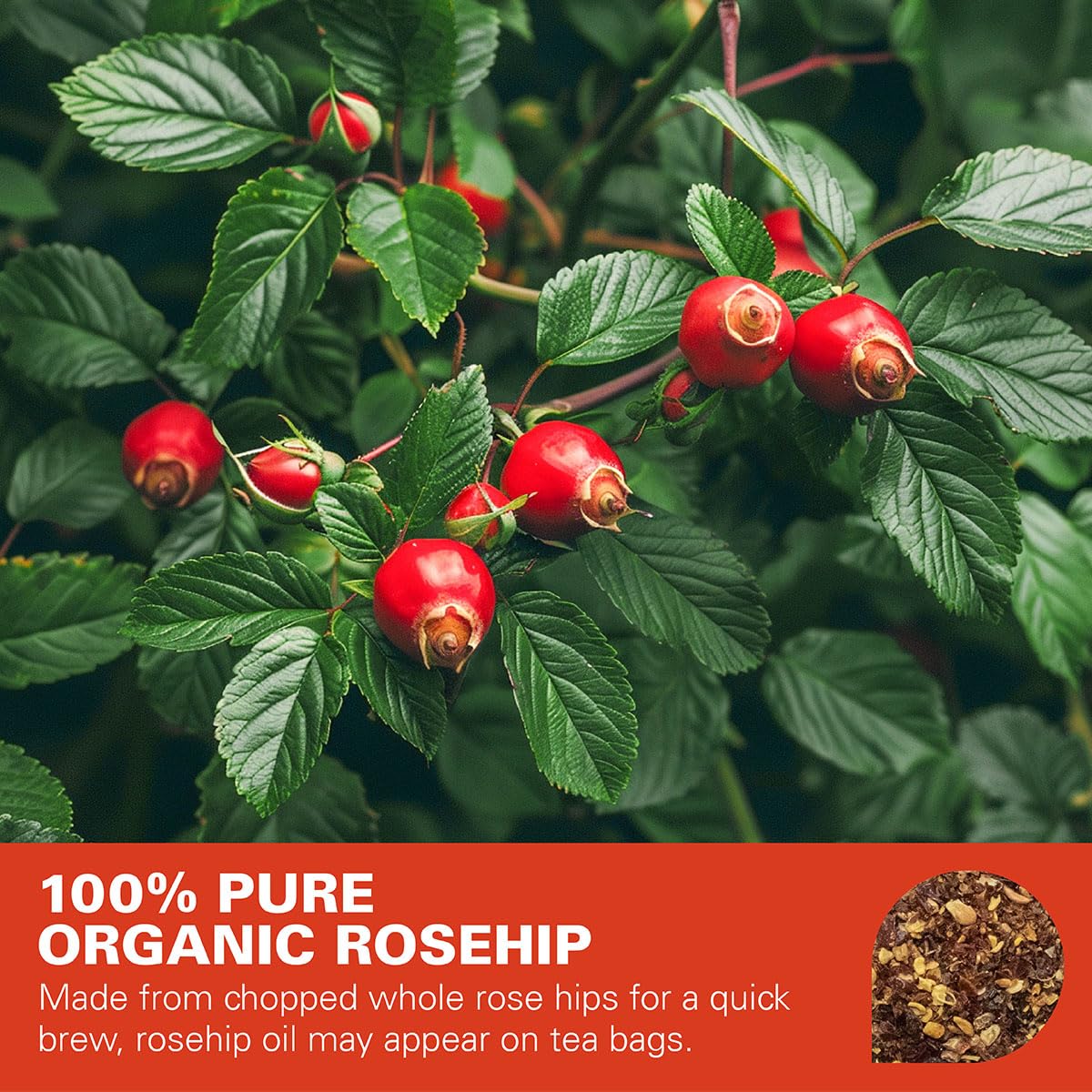 WT WEETEE Organic Rosehips Tea Bags, Made with 100% Natural & Pure Crushed Rose Hips, Natural Caffeine-free Herbal Tea 2g x 100 Counts