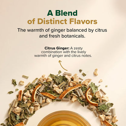 VAHDAM Turmeric Citrus Ginger Tea(3.53 oz| 50 Cups)Caffeine Free Herbal Tea