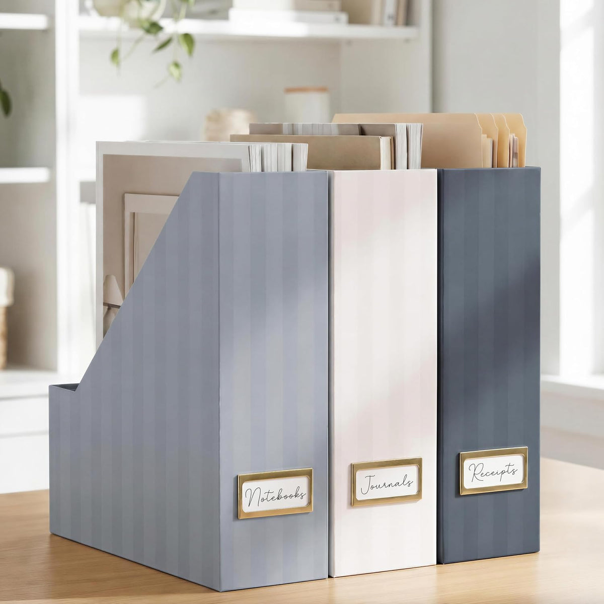 Beautiful Magazine Holder Set of 3 - Sturdy File Holder for Desk or Shelves
