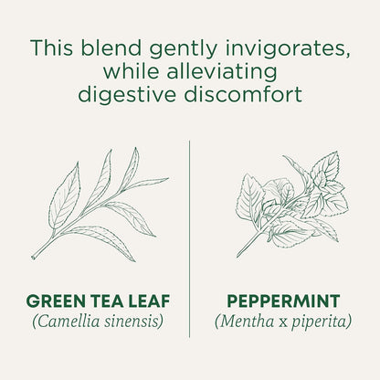 Traditional Medicinals Organic Green Tea, Peppermint - Promotes Healthy Digestion, Occasional Nausea & Indigestion Relief - Kosher, Non-GMO - 96 Teabags (Pack of 6)