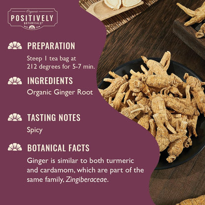 Organic Positively Botanicals Company, Milk Thistle Herbal Tea Bags, 20 Count