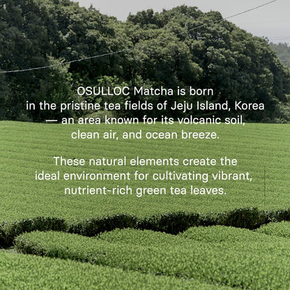 OSULLOC Jeju Matcha Milk Tea Powder Stick Packets, 10 Count