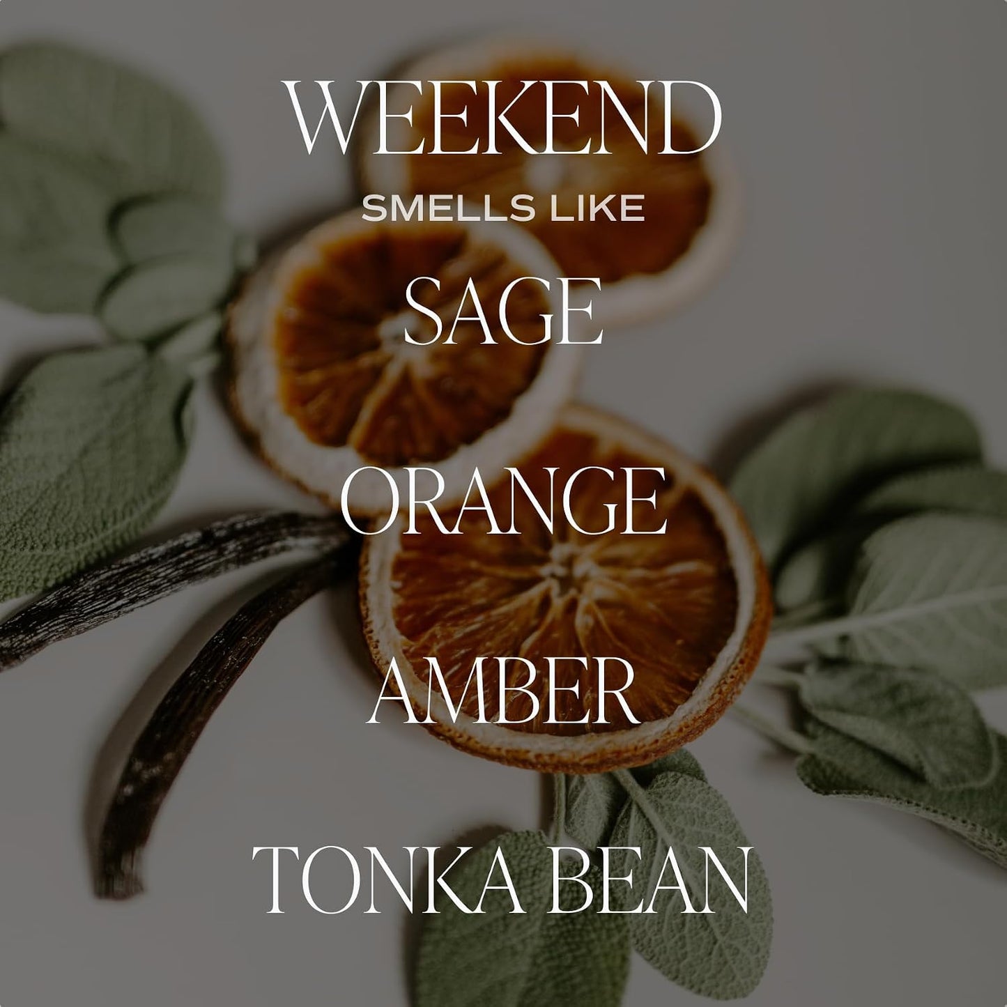 Sweet Water Decor Salt & Sea Reed Diffuser Set - Sea Salt Citrus & Musk Amber Scent Diffuser - Reed Diffusers for Home with Long Lasting Fragrance - Non-Toxic Oil Reed Diffuser - Made in the USA