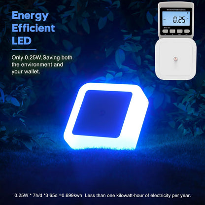 Sujeet Night Light, Night Lights Plug into Wall,Nightlight Plug in Night Light, Dusk to Dawn Night Lamp Led Night Lights for Adults Bedroom, Bathroom, Hallway (Amber)
