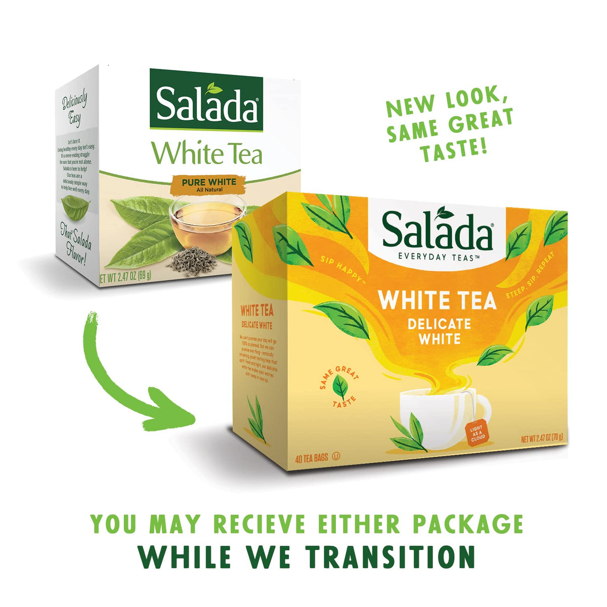 Salada White Tea Delicate White Tea with 40 Individually Wrapped Tea Bags Per Box (Pack of 6) Contains Caffeine Brew Hot Naturally Flavored