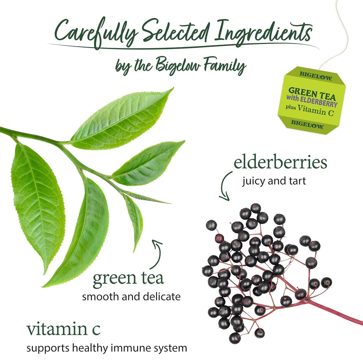 Bigelow Tea Green Tea with Elderberry Plus Vitamin C, 18 Count (Pack of 6)