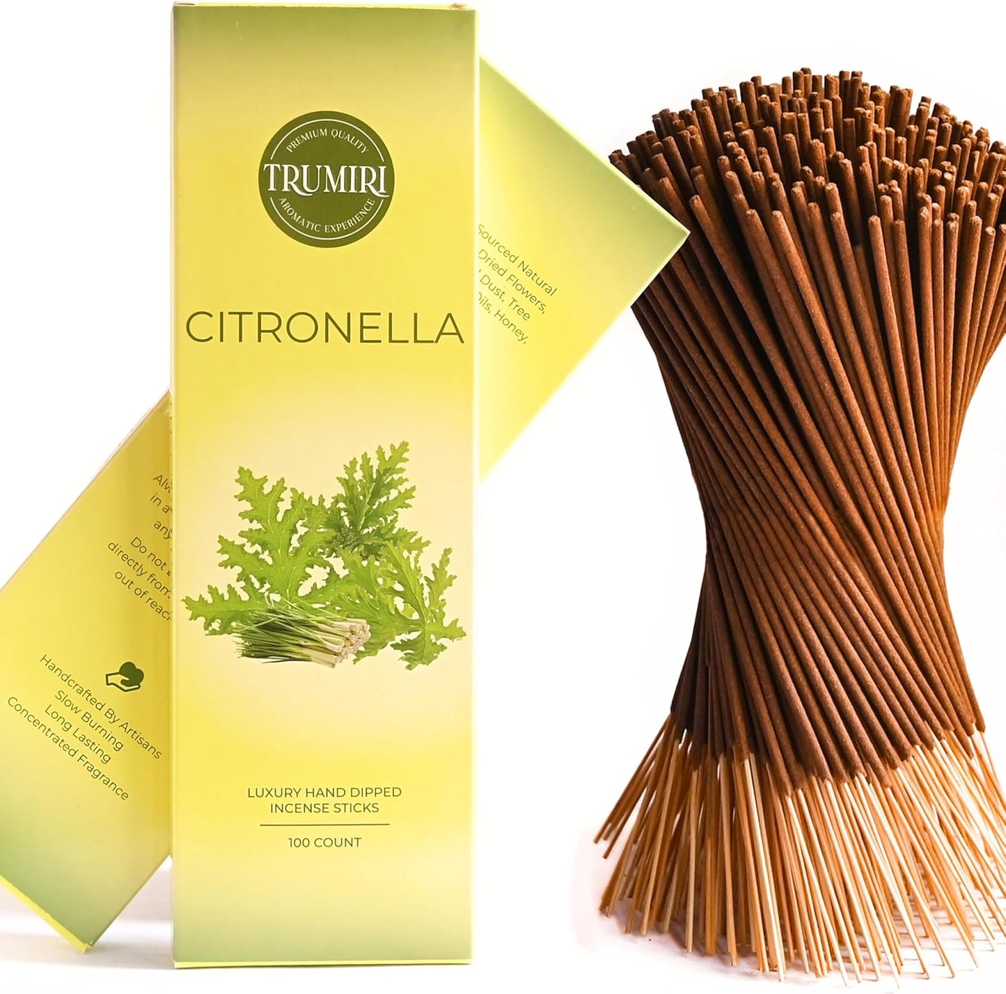 Hem Incense Sticks Variety Pack #23-120 Insence-Sticks (6 Incents x 20 Insense) + Incense Stick Holder with 6 Most Liked Scents Including Patchouli Dragons Blood White Sage Frankincense-Myrrh