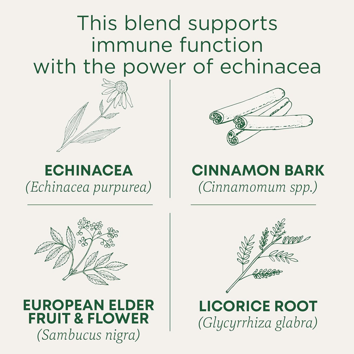 Traditional Medicinals Organic Immune Zoom Elderberry Echinacea 96 Tea Bags