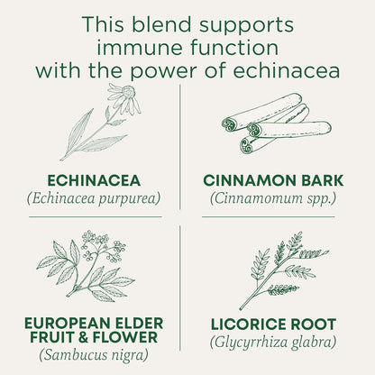 Traditional Medicinals Organic Immune Zoom Elderberry Echinacea 96 Tea Bags