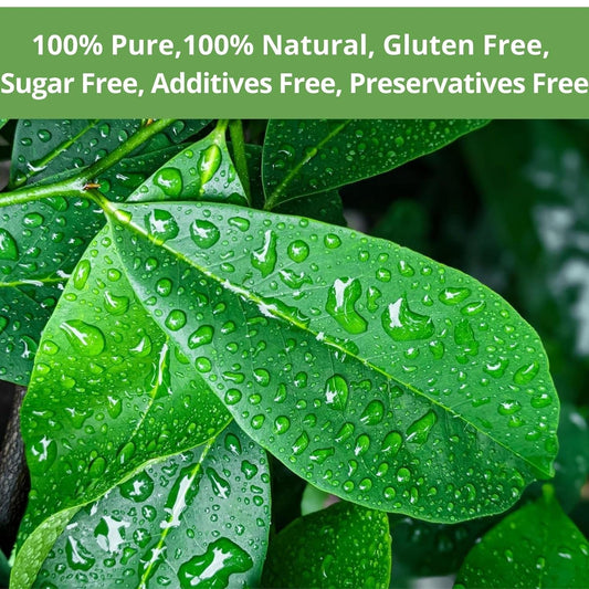 40 Dried Soursop Leaves Tea Bags, VitalForest Soursop Graviola Leaves Tea, Sour Sop Leaves