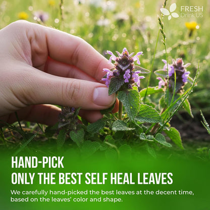 FreshDrinkUS, Premium Self Heal Leaf Tea Bag, 75 Count, Caffeine Free