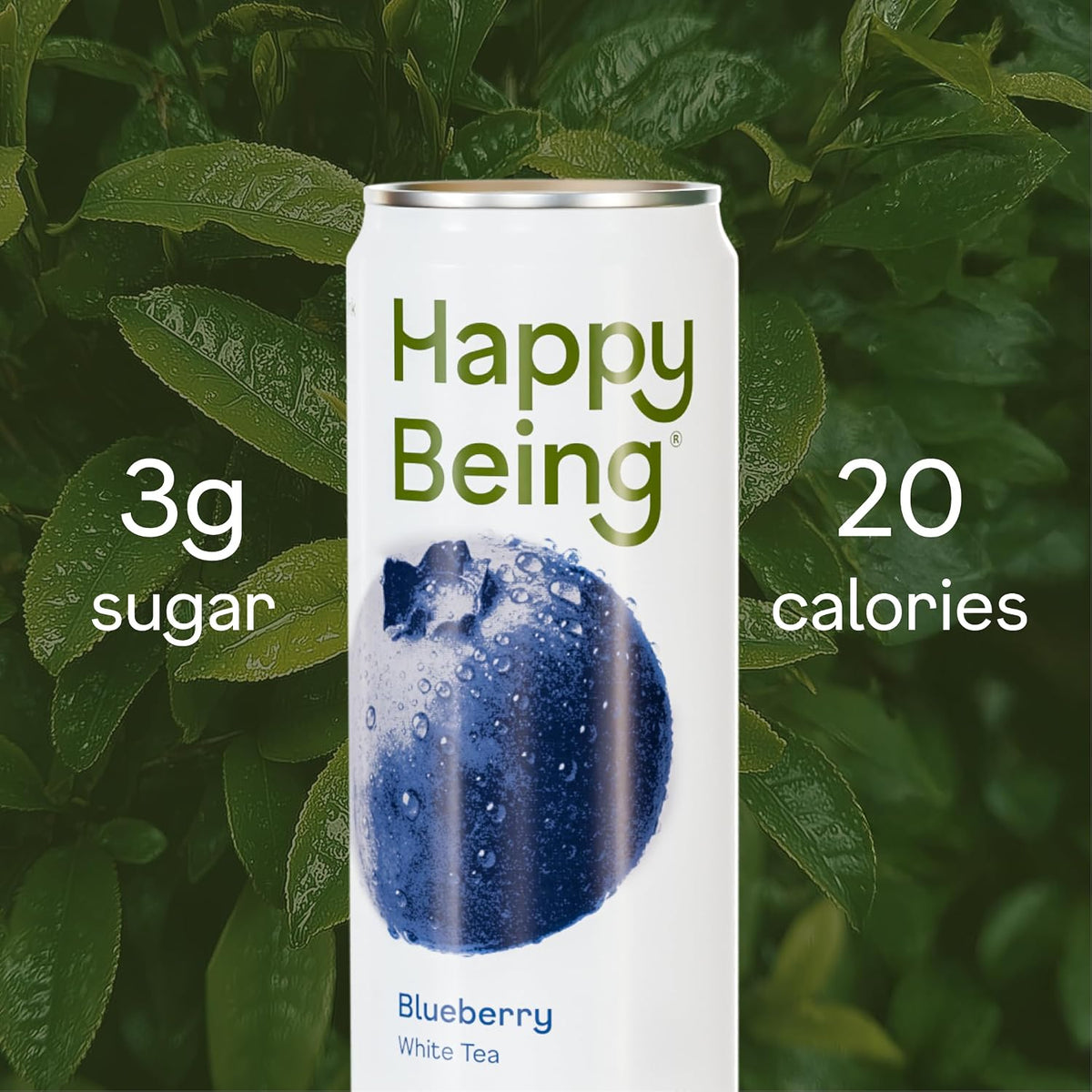 Happy Being Blueberry White Tea, Antioxidant, Low Sugar, 12oz 4 Pack