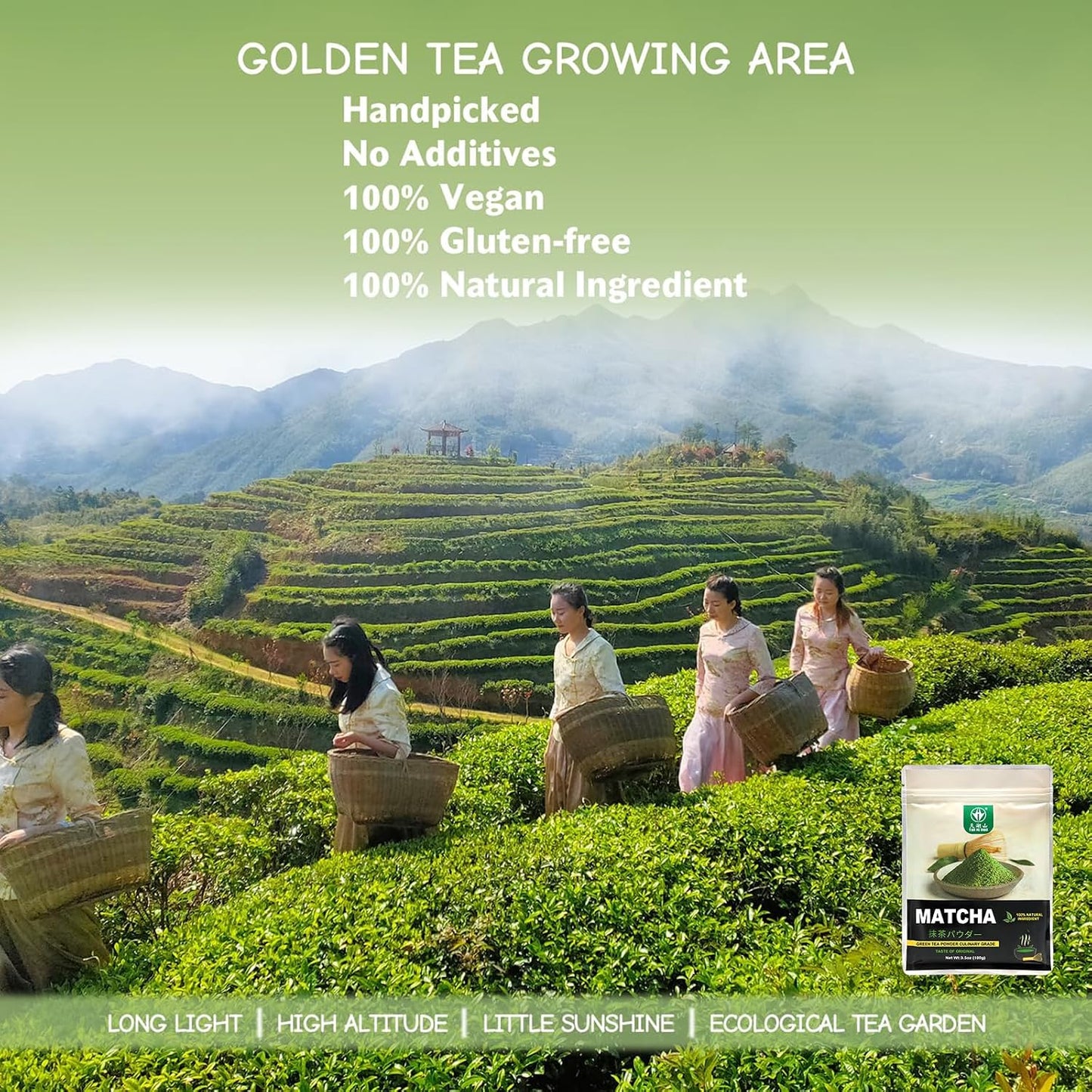 TIAN HU SHAN Matcha Green Tea Powder 3.5oz/100g, Pure Matcha Powder Culinary Grade Unsweetened for Lattes, Cooking, Baking, Vegan 100% Natural （Package May Vary)