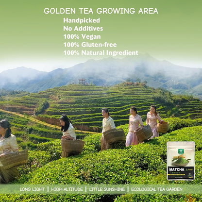 TIAN HU SHAN Matcha Powder 3.5oz/100g Culinary Macha for Latte Baking