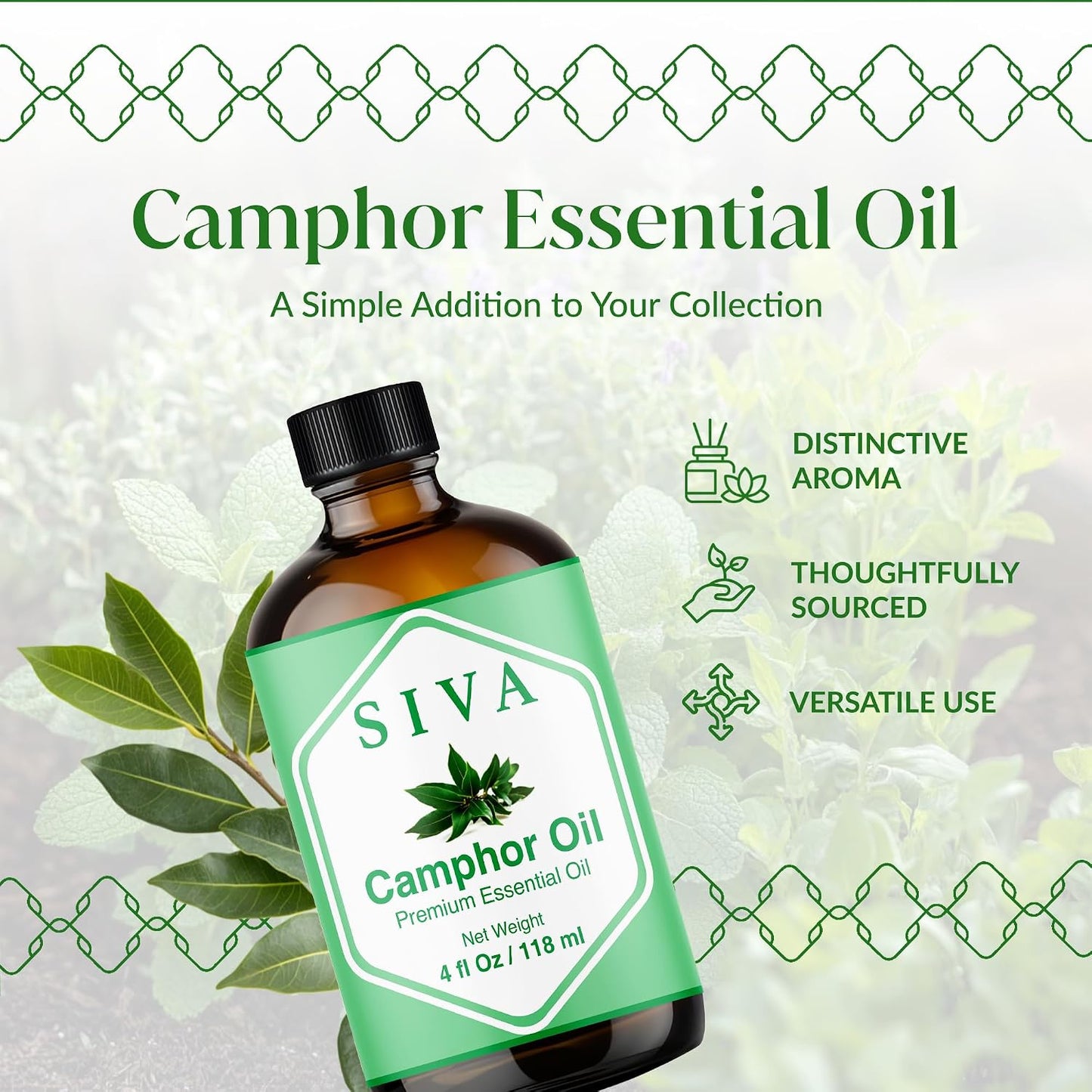 Siva Lavender Essential Oil, Huge Bottle, Large Size, 16 Fl Oz (473 ml)