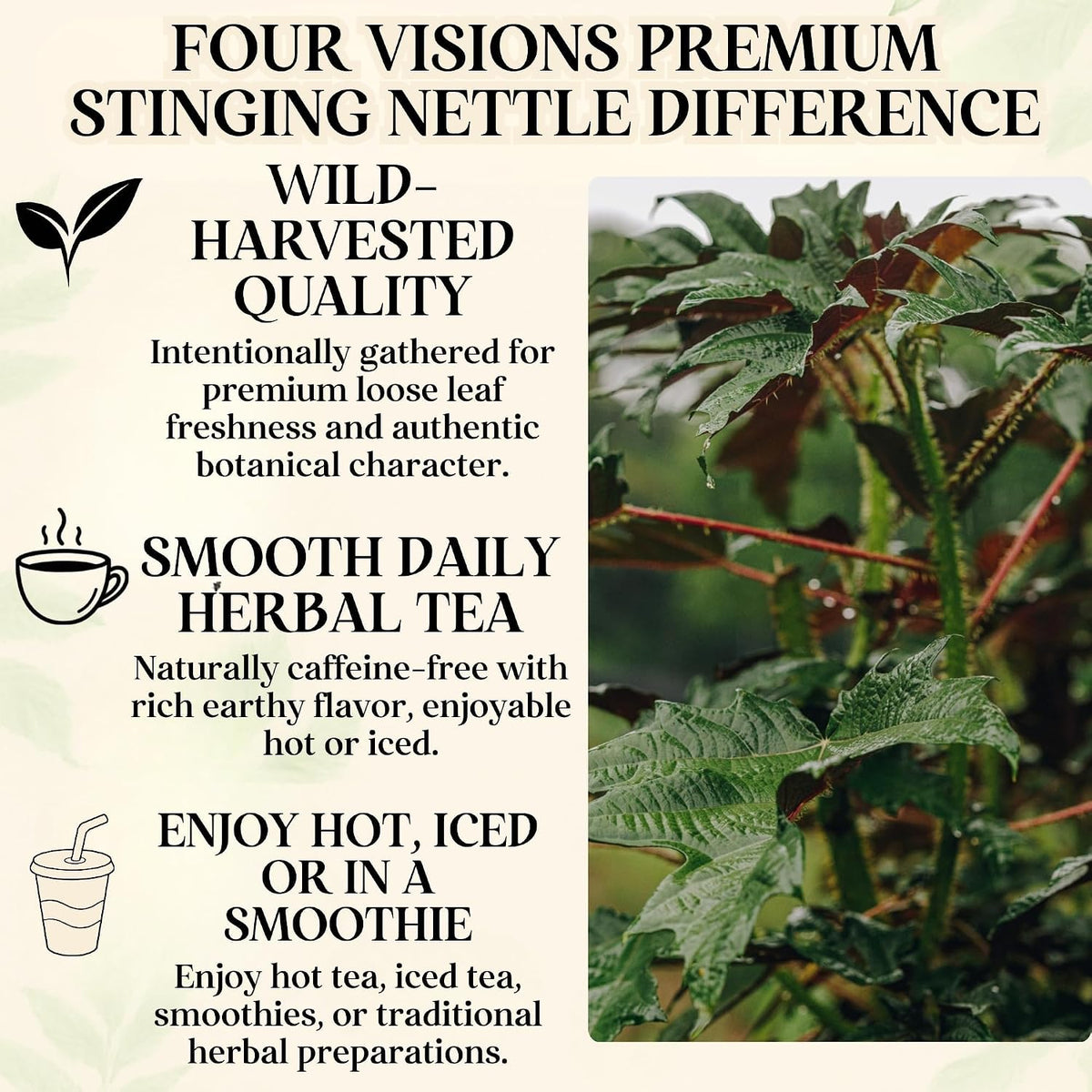 Stinging Nettle Tea Organic - Loose Leaf Nettle Tea - Ortiga Verde Organica
