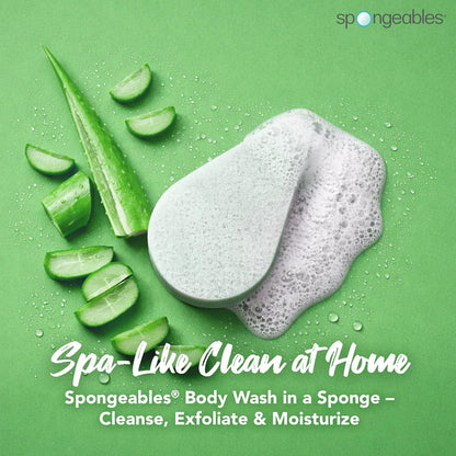 Spongeables Anti Cellulite Body Wash in a 20+ Wash Sponge, Citrus, 3 Count