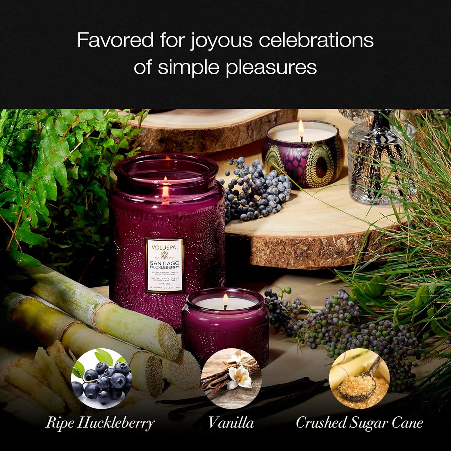 Voluspa Baltic Amber Candle, 18 oz, Coconut Wax Blend, Scented Candles for Home, 100 Hour Burn Time, Candle Jar