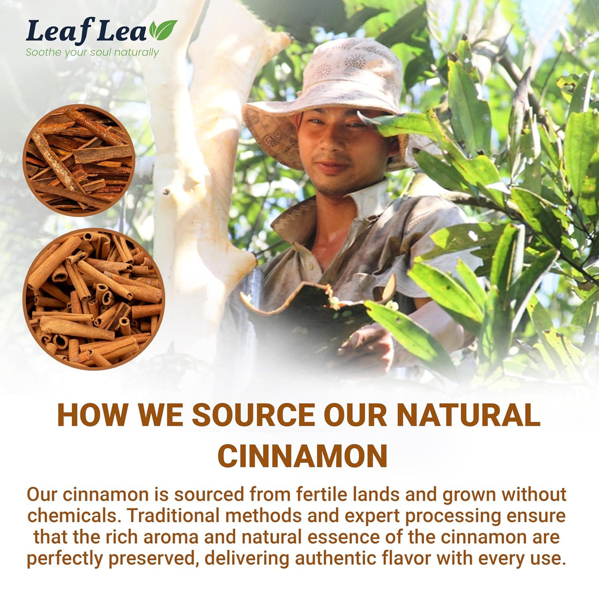 LeafLea Cinnamon Tea Bags, Bold Ground Cinnamon Spice, Sugar-Free, 80 Count