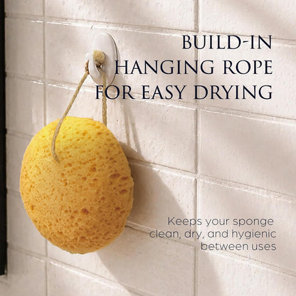 Spongentle Loofah Sponge for Shower and Bathing, Bath Sponge with Dual Texture, Shower Pouf for Gentle and Deep Exfoliation, Large Size Body Scrubber for Men & Women, PU Foam, 37% More Lather, 3 Pack