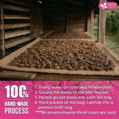 FreshDrinkUS, Premium Red Clover Herbal Tea– 75 Tea Bags – Pure – Naturally Smooth & Mild Flavor – Premium Quality, Eco-Conscious Packaging. Caffeine-Free. Gluten Free. Vegan