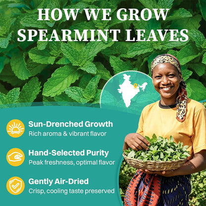 SKMTT Spearmint Tea Bags, Refreshing Mint Herbal Tea, Caffeine Free, 60 Ct