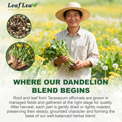 LeafLea Dandelion Root & Leaf Tea Bags, Gut Health Support, 160 Count