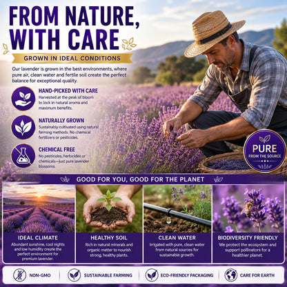 WOTIHA 60 Count Premium Chamomile Lavender Tea Bags - 100% Pure Flowers, Soothing Aroma, Supports Relaxation & Better Sleep, Caffeine-Free, Additive-Free, Sugar-Free, Vegan.Non-GMO