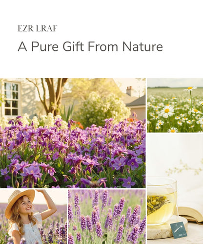 EZR LEAF Pura Herbal Tea Sampler - Caffeine-Free Tea Variety Gift Set