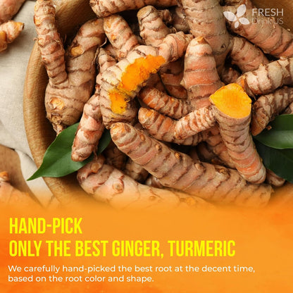 FreshDrinkUS, Premium Ginger Turmeric Tea, 45 Count, Caffeine Free, Vegan