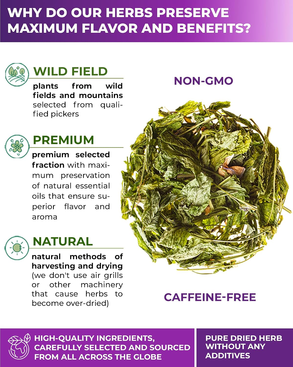 50 Bags Goat's Rue Herbal Tea (Galega Officinalis) - 50 Count 2g Tea Bags Ruda De Cabra