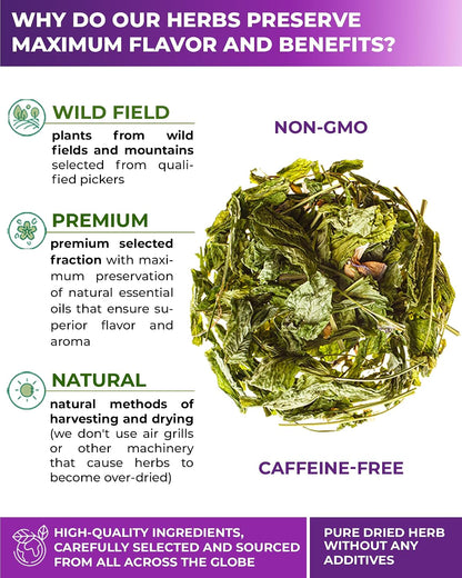 50 Bags Goat's Rue Herbal Tea (Galega Officinalis) - 50 Count 2g Tea Bags Ruda De Cabra
