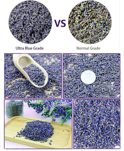 TooGet Fragrant Lavender Buds Dried Flowers Wholesale, Ultra Blue Grade - 225g