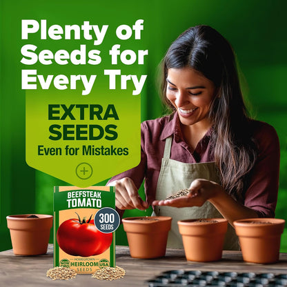 HOME GROWN Beefsteak Tomato Seeds, 300+ Seeds, Solanum lycopersicum