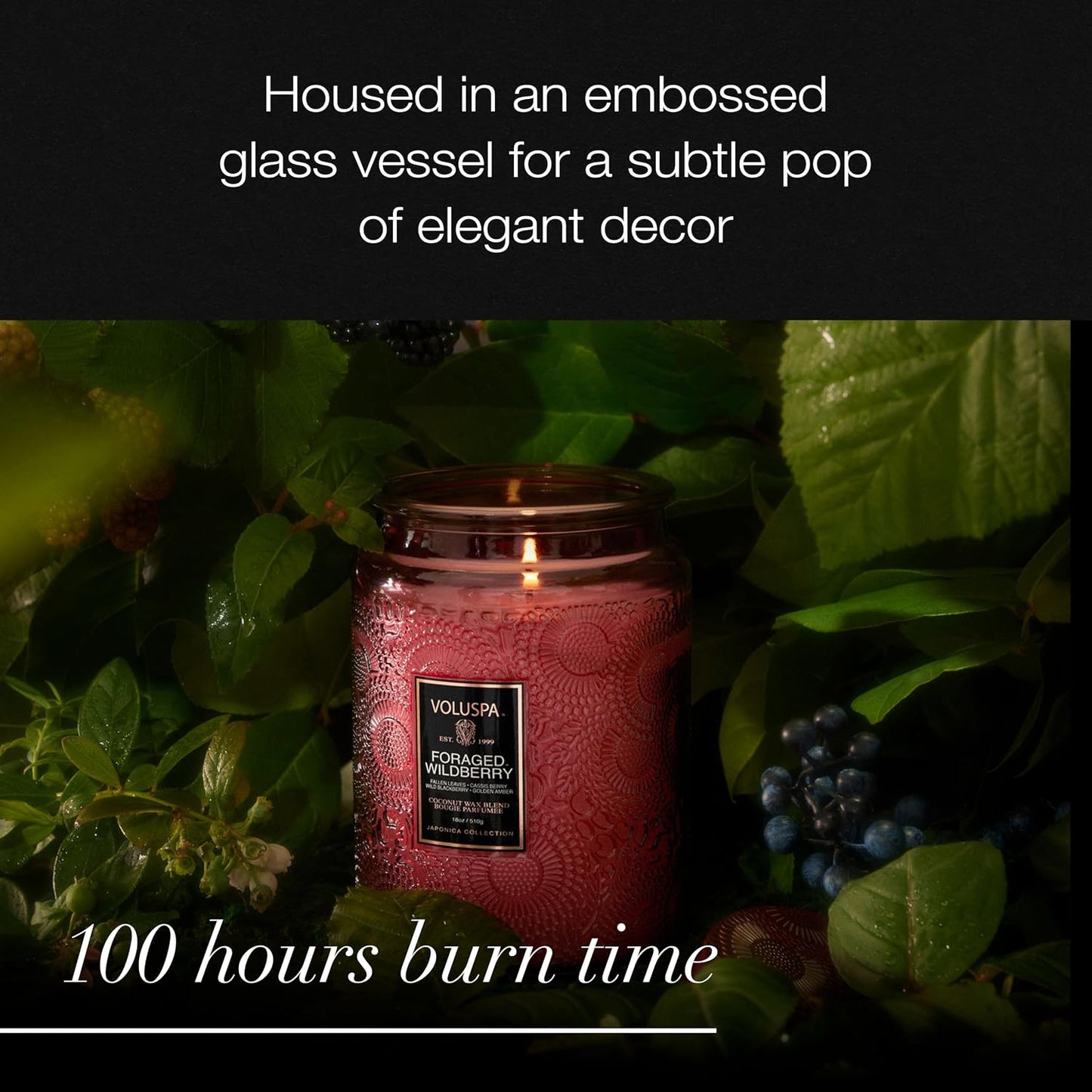Voluspa Baltic Amber Candle, 18 oz, Coconut Wax Blend, Scented Candles for Home, 100 Hour Burn Time, Candle Jar