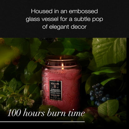 Voluspa Baltic Amber Candle, 18 oz, Coconut Wax Blend, Scented Candles for Home, 100 Hour Burn Time, Candle Jar